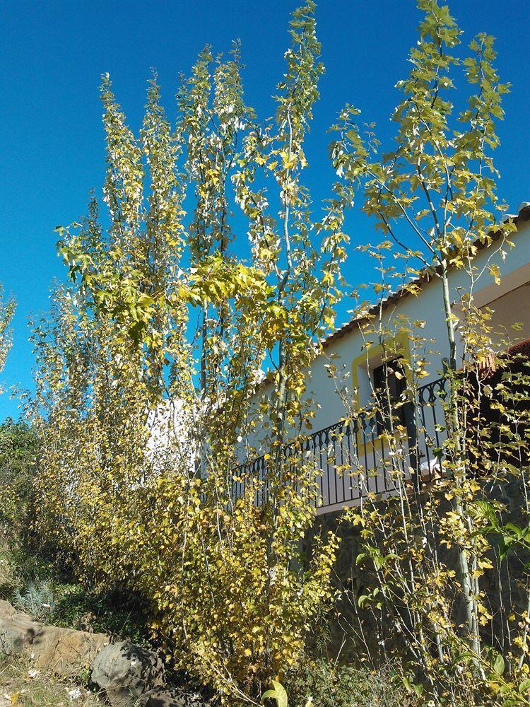 Gasthaus Casas Do Palheiro Velho Castro Marim Exterior foto